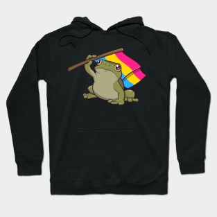 Pansexual Pride Flag-Holding Frog Hoodie